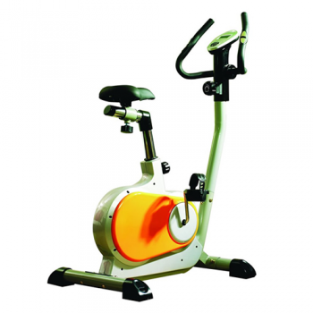 BICICLETA FIJA MAGNÉTICA RANDERS HP350.
