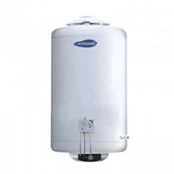 TERMOTANQUE ECOTERMO POPULI 45 GAS NATURAL CONEXION SUPERIOR