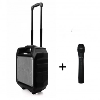 PARLANTE AMPLIFICADO + MICROFONO NOBLEX TSN2650