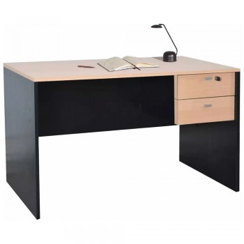 ESCRITORIO PLATINUM 502 HAYA/NEGRO 120CM