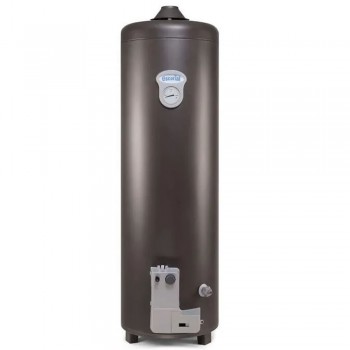 TERMOTANQUE GAS ESCORIAL GEISER GRIS GRAFITO 120LTS